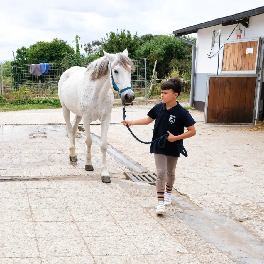iniciacion equitacion equus getxo